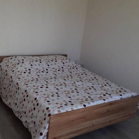 Maison Au Coeur Du Jura シャンパニョル エクステリア 写真